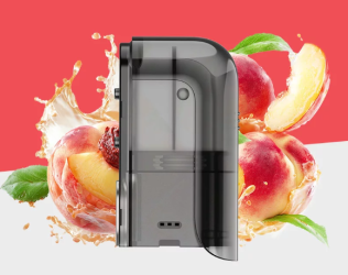 PIXL Max 20 K Juicy Peach 10 ml Nikotinsalzliquid 20 mg by PIXL 